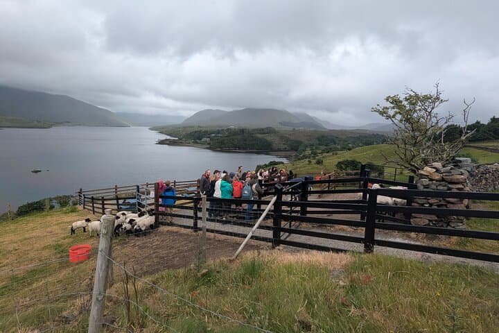 3-Day Luxury Connemara & Cliffs of Moher Private Tour from Dublin photo 4