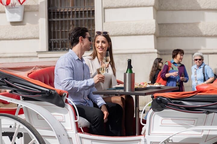 vienna-horse-drawn-carriage-ride-with-sparkling-wine-and-food photo 4
