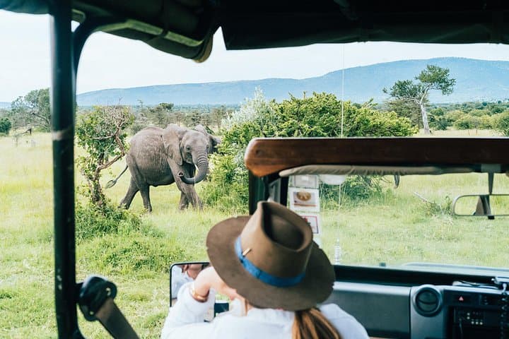 3-Day Sweetwaters Ol Pejeta Safari from Nairobi — Big Five, Chimp Sanctuary & Northern White Rhinos photo 2