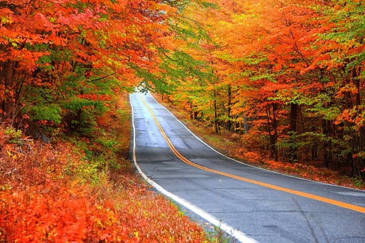 Self-Guided Audio Driving Tour of Vermont’s RT-100 Scenic Byway photo 3