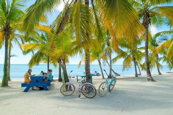 Saona Island Catamaran Day Trip from Punta Cana — Natural Pool, Snorkeling & Open Bar photo 1