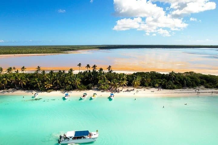 Saona Island Catamaran Day Trip from Punta Cana — Natural Pool, Snorkeling & Open Bar photo 3