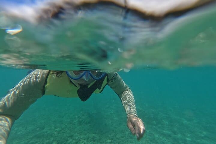 Hanauma Bay Guided Snorkel from Waikiki — Morning & Afternoon Tours photo 1