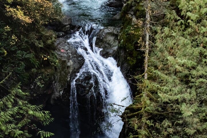Private North Shore Rainforest & Suspension Bridge Hike — Vancouver photo 5