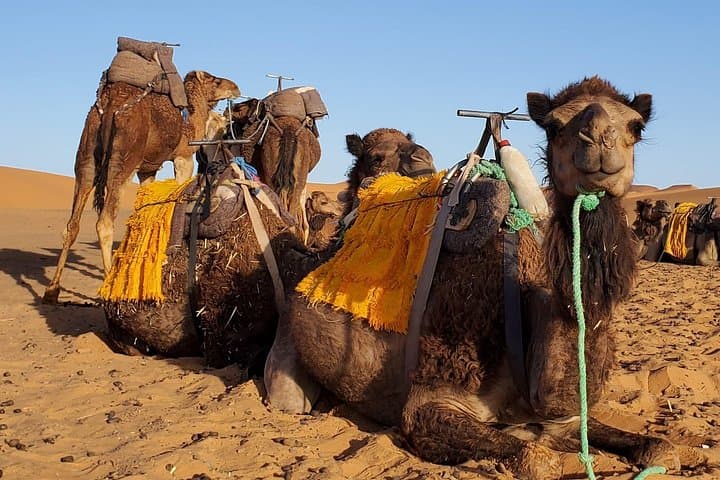 3-Day Marrakech to Merzouga Desert Tour & Camel Trek — Sunrise Dunes and Night Camp photo 1