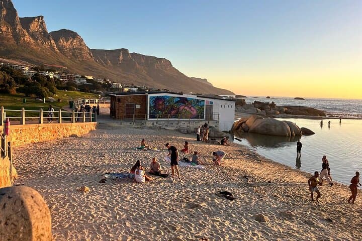 Full-Day Private Cape Town Tour: Table Mountain, Cape Point & Boulders Beach photo 2