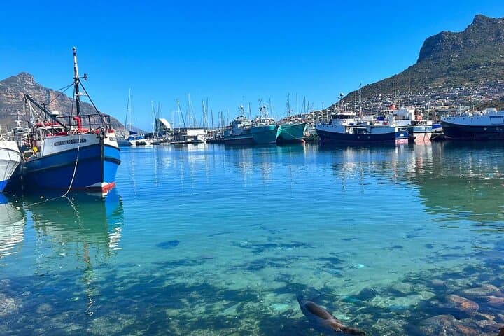 Full-Day Private Cape Town Tour: Table Mountain, Cape Point & Boulders Beach photo 3