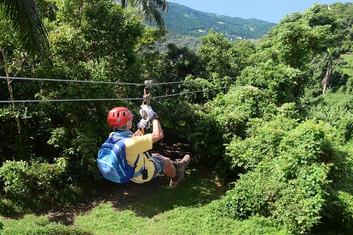 Rainforest Zipline Adventure in Luquillo — Zipline, Rappel & Canopy Bridge Near El Yunque photo 3