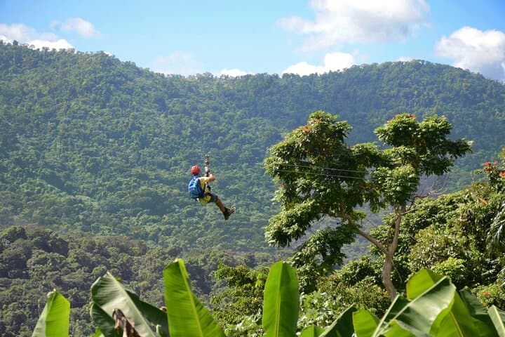 Rainforest Zipline Adventure in Luquillo — Zipline, Rappel & Canopy Bridge Near El Yunque photo 1