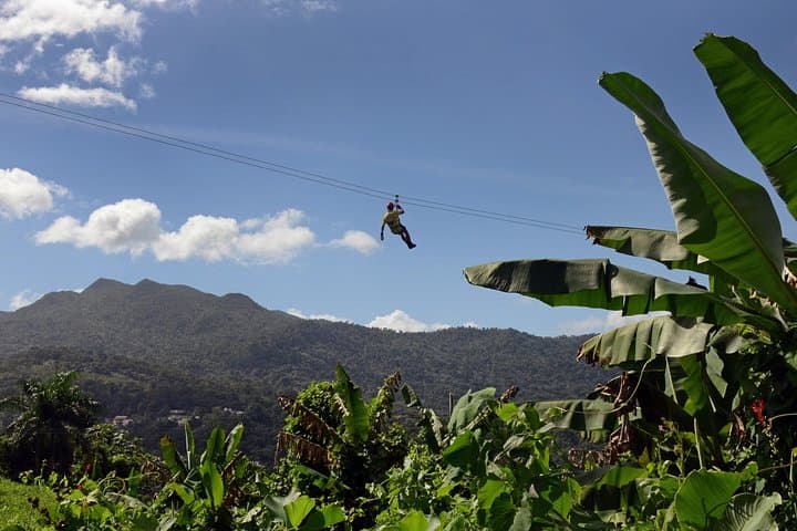 Rainforest Zipline Adventure in Luquillo — Zipline, Rappel & Canopy Bridge Near El Yunque photo 4