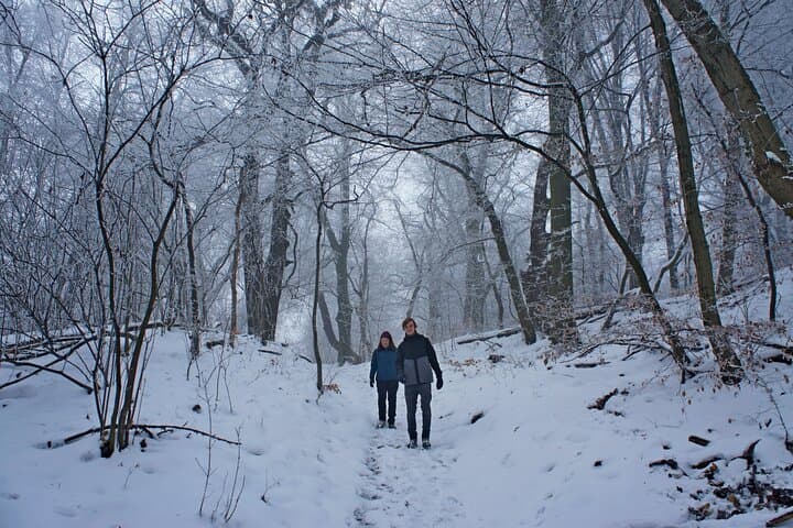 Buda Hills Hike: 4-Hour Guided Walk from Budapest Metro photo 4