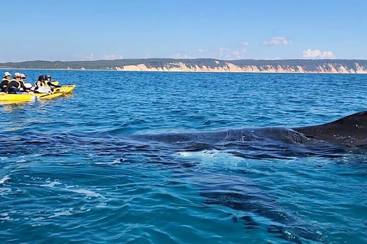 Noosa 4WD Beach & Dolphin Kayak: Double Island Point Adventure photo 2