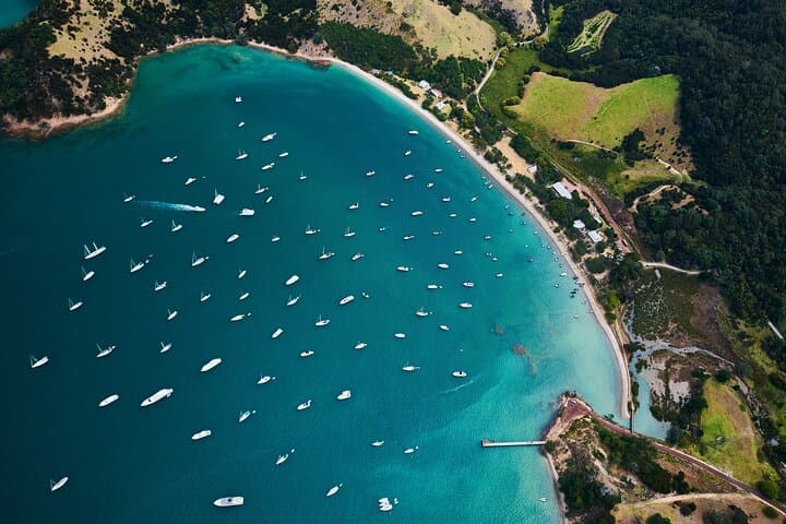Tikapa Moana: Whales, Dolphins & Islands Cruise from Auckland photo 4