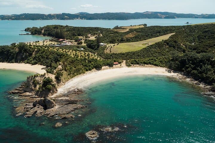 Tikapa Moana: Whales, Dolphins & Islands Cruise from Auckland photo 5