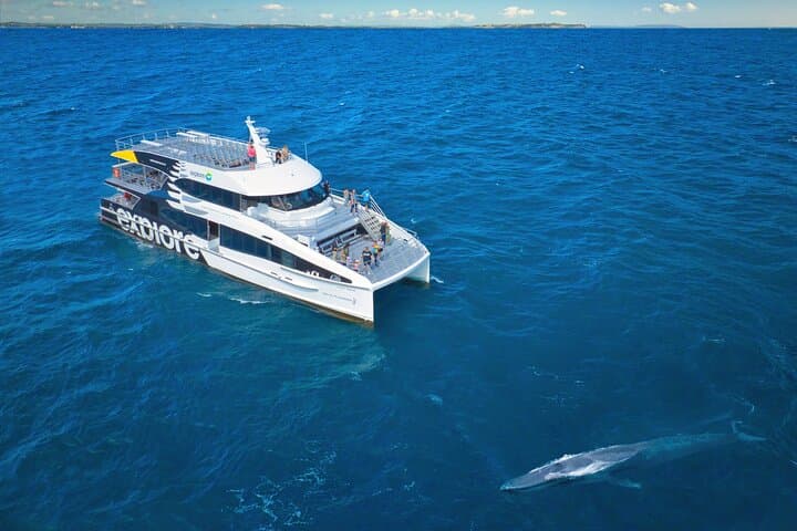 Tikapa Moana: Whales, Dolphins & Islands Cruise from Auckland photo 2