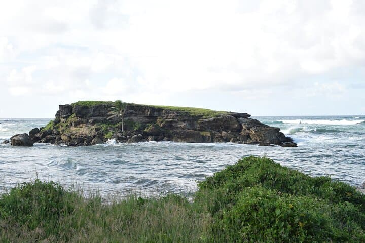 East Coast Private Tour of Barbados: Ragged Point, Culpepper Island & Bottom Bay photo 2