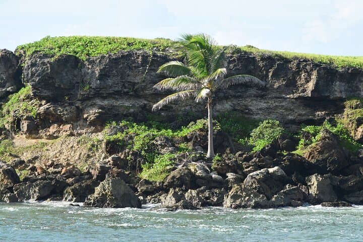 East Coast Private Tour of Barbados: Ragged Point, Culpepper Island & Bottom Bay photo 3