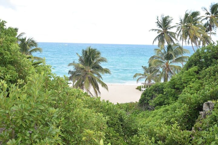 East Coast Private Tour of Barbados: Ragged Point, Culpepper Island & Bottom Bay photo 4
