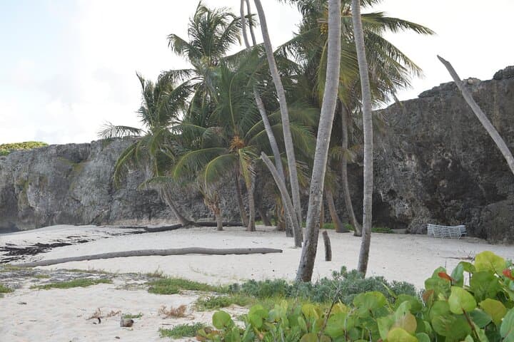 East Coast Private Tour of Barbados: Ragged Point, Culpepper Island & Bottom Bay photo 5