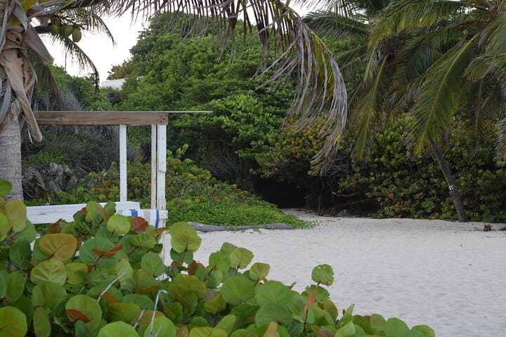 East Coast Private Tour of Barbados: Ragged Point, Culpepper Island & Bottom Bay photo 6