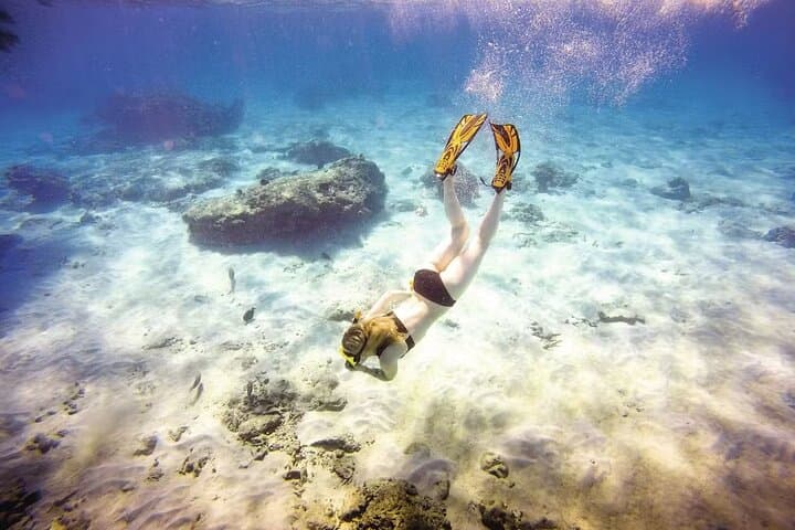 Puerto Plata Catamaran Snorkel Trip: Full-Day Cruise with Lunch & Swim Stops photo 1