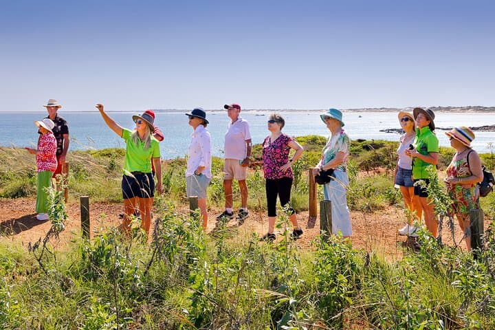 Discover Broome: Cable Beach, Pearl History & Gantheaume Point Panoramic Bus Tour photo 3