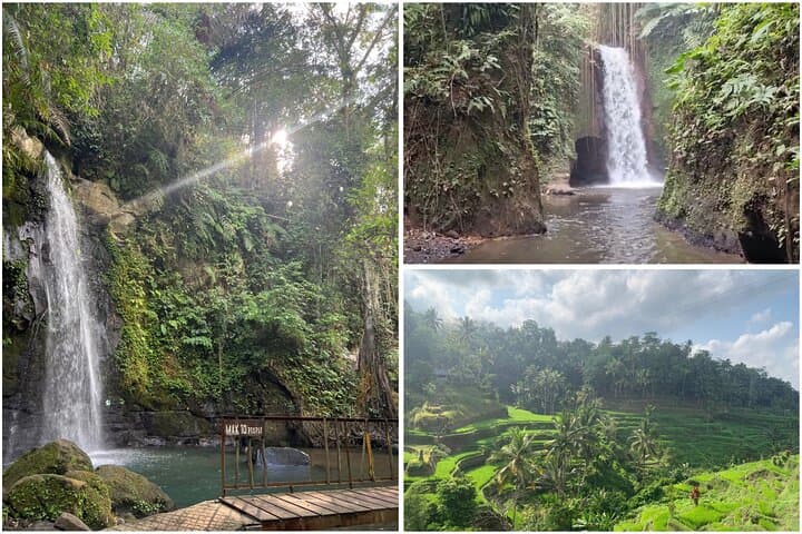 Half-Day Ubud Waterfall & Tegalalang Rice Terrace Tour