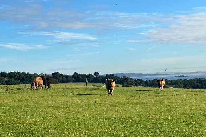 Private Stirling & Highland Full-Day Tour: Stirling Castle, Bannockburn and The Kelpies photo 4