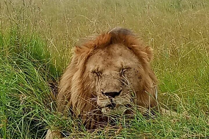 Beyond the Rim: 5-Day Camping Safari to Ngorongoro, Tarangire & Lake Manyara photo 4
