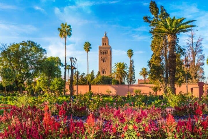 Agadir to Marrakech Full-Day Trip: Koutoubia, Jemaa el-Fna, Bahia & Majorelle photo 6