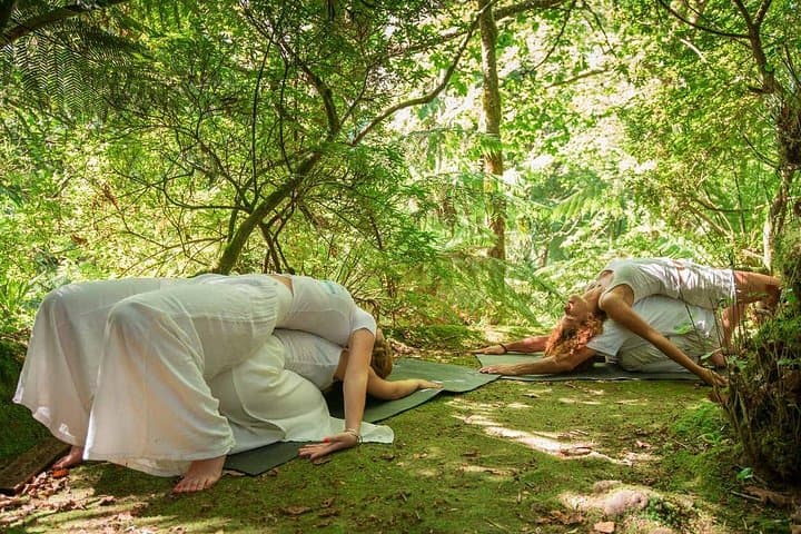 Private Outdoor Yoga in Nature on Sao Miguel Island photo 3