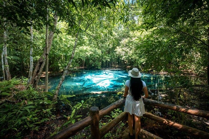 Krabi Emerald Pool and Tiger Cave Temple Day Tour — Swim, Hike, and Summit photo 5