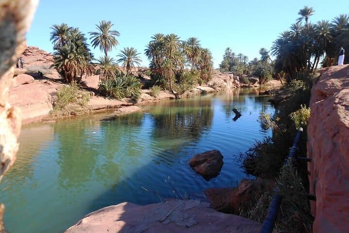 Taroudant and Tiout Full-Day Tour from Agadir with Oasis Lunch photo 6