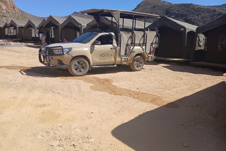 Overnight Big Five Safari from Cape Town — 1-Night All-Inclusive at Aquila photo 6