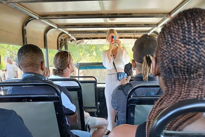 Full-Day Big Five Safari from Cape Town to Aquila Game Reserve photo 5