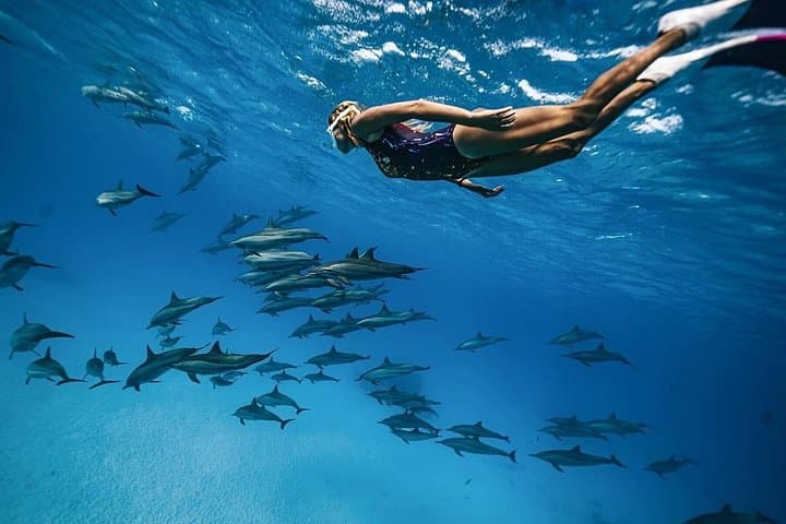 Dolphin House Snorkel Trip from Hurghada: Red Sea Day Cruise photo 2