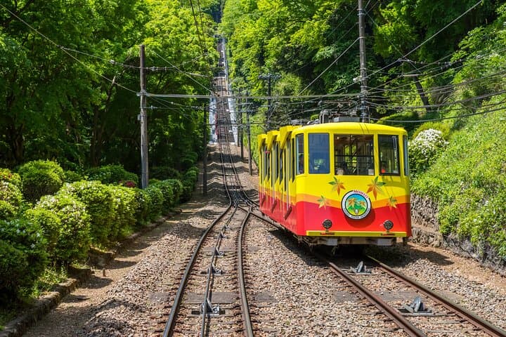 Gourmet Hiking and Fine Dining on Mount Takao, Tokyo photo 4