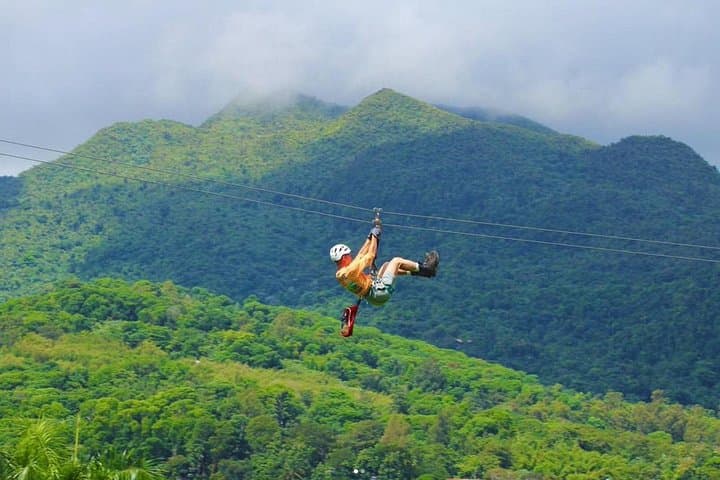 Rainforest Zipline Adventure in Luquillo — Zipline, Rappel & Canopy Bridge Near El Yunque photo 2