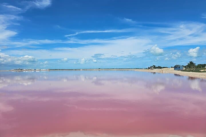 Las Coloradas Pink Lakes Hike and Río Lagartos Wildlife Boat Tour photo 3