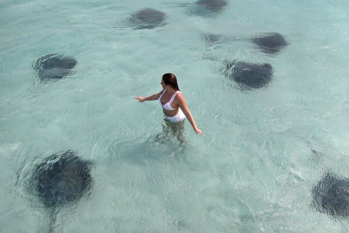 Grand Cayman 2-Stop Snorkeling & Stingray City Combo Adventure