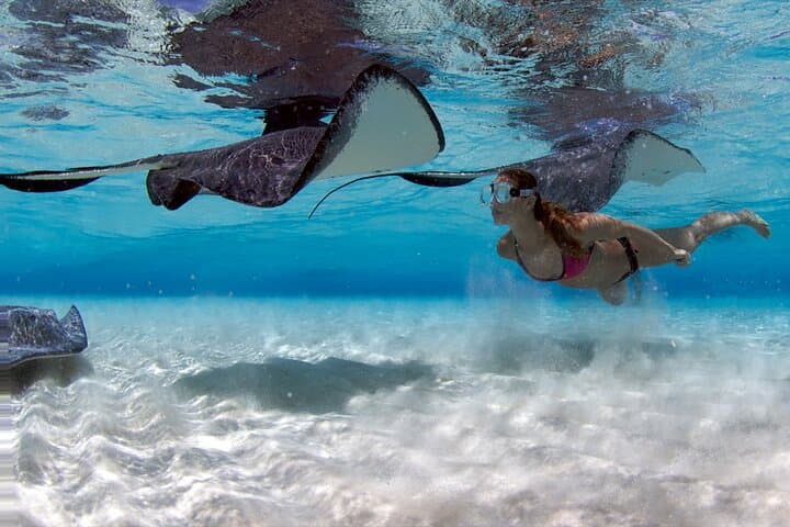 Cayman 3-in-1: Stingray City and Barrier Reef Snorkel Combo