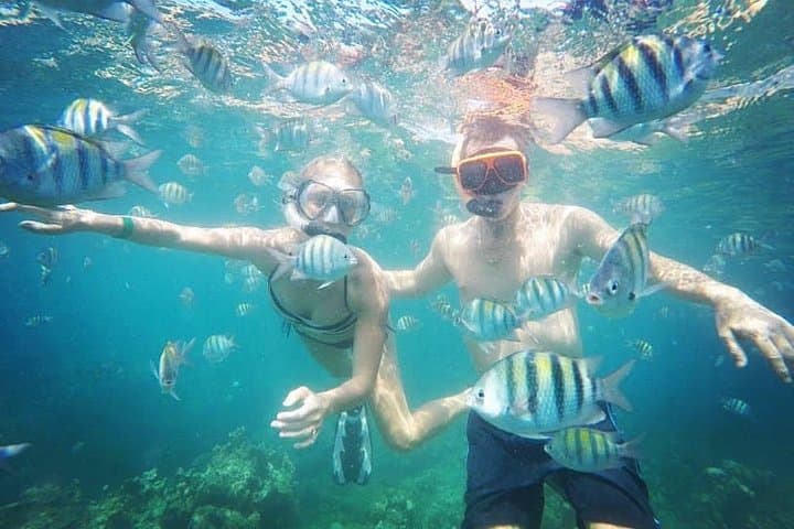Montego Bay Snorkeling and Hip Strip Shopping — Guided Tour with Hotel Pickup photo 2