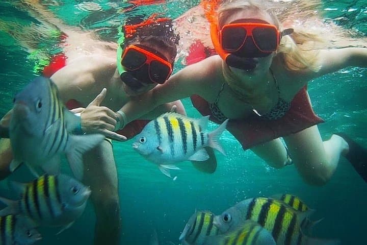 Montego Bay Snorkeling and Hip Strip Shopping — Guided Tour with Hotel Pickup photo 4