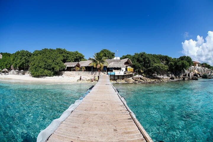 Curacao Blue Experience: Snorkel with Turtles & Beach-Hop to Kenepa, Kalki & Playa Grandi photo 6