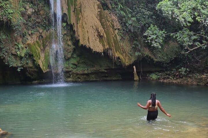 Samana Whale Watching and Cayo Levantado Full-Day Tour with Salto del Limón