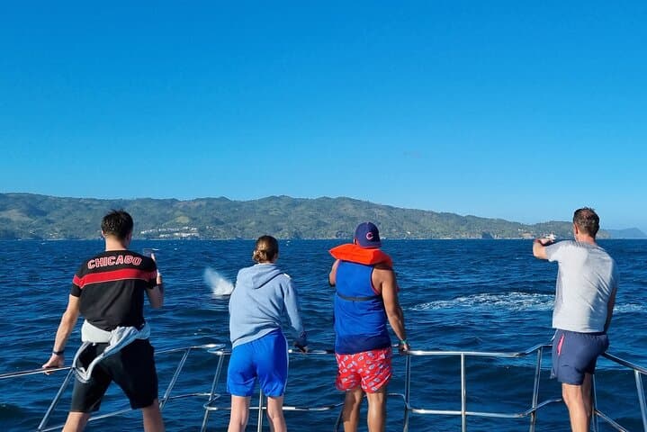 Samana Whale Watching and Cayo Levantado Full-Day Tour with Salto del Limón photo 2
