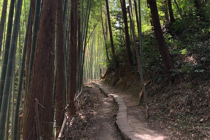 Secret Fushimi Inari Trails: Local-Guided Hike Through Hidden Torii and Bamboo Paths photo 2