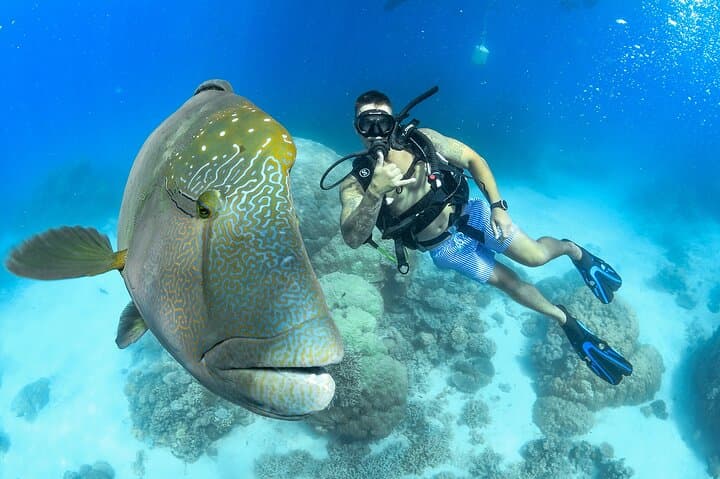 Great Barrier Reef Outer-Reef Cruise from Cairns — Snorkel, Dive & Scenic Flight photo 3