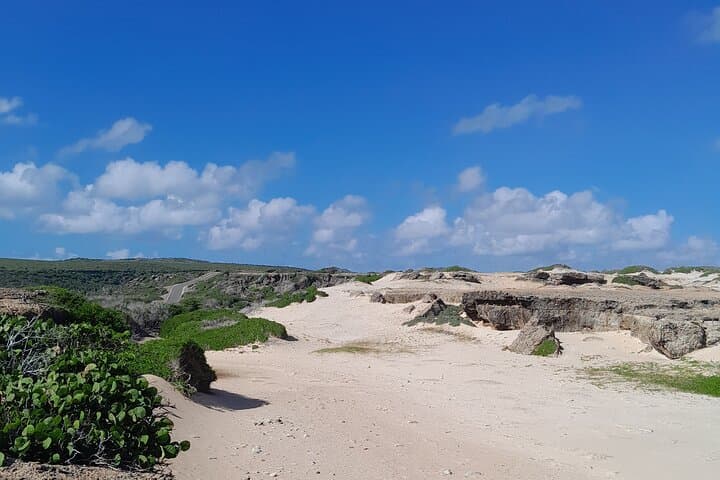 Private 4x4 to Aruba’s Natural Pool, Caves & Baby Beach photo 2
