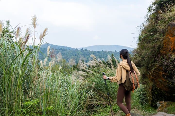 Yangmingshan Half-Day Tour: Xiaoyoukeng, Bamboo Lake & Flower Trails photo 4